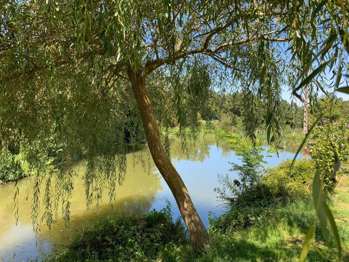 La Maison Rouzies La Bastide-l'Eveque Ngoại thất bức ảnh